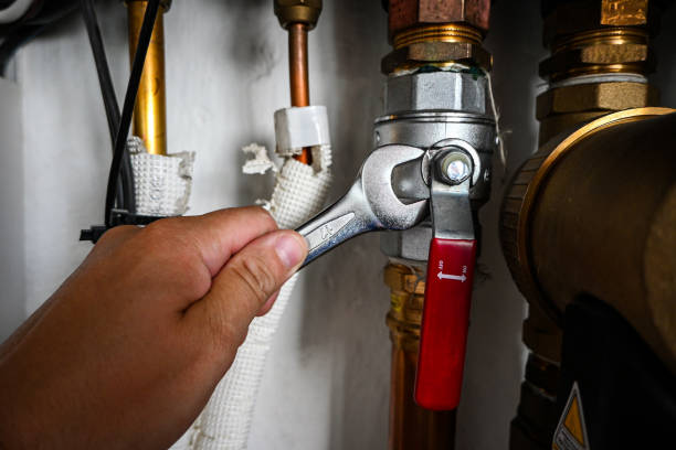 Best Water Leak Repair  in Paloma Creek South, TX